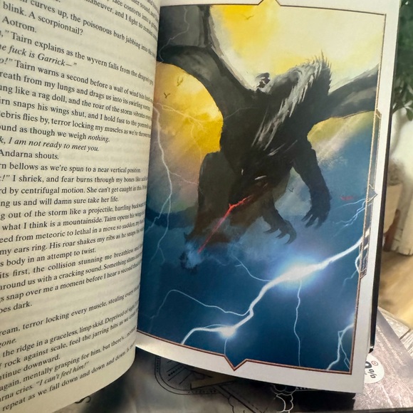 Onyx Storm by Rebecca Yarros Book - Picture 4 of 4